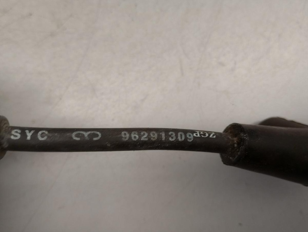 IMG_20230413_110342730_HDR.jpg