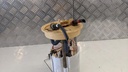 PXL_20230417_085533141.jpg