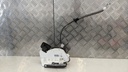 PXL_20230417_113141046.jpg