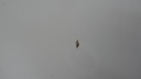DSC01861.JPG