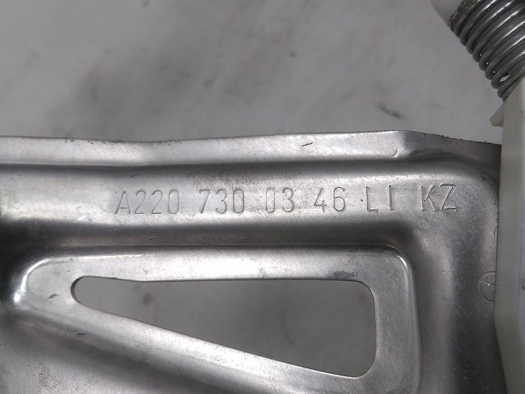 16826827014387398759869159932428.jpg