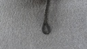 DSC02478.JPG