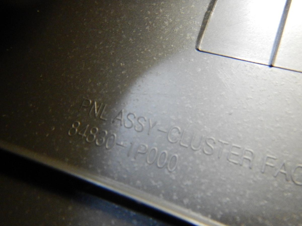 DSCN8720.JPG