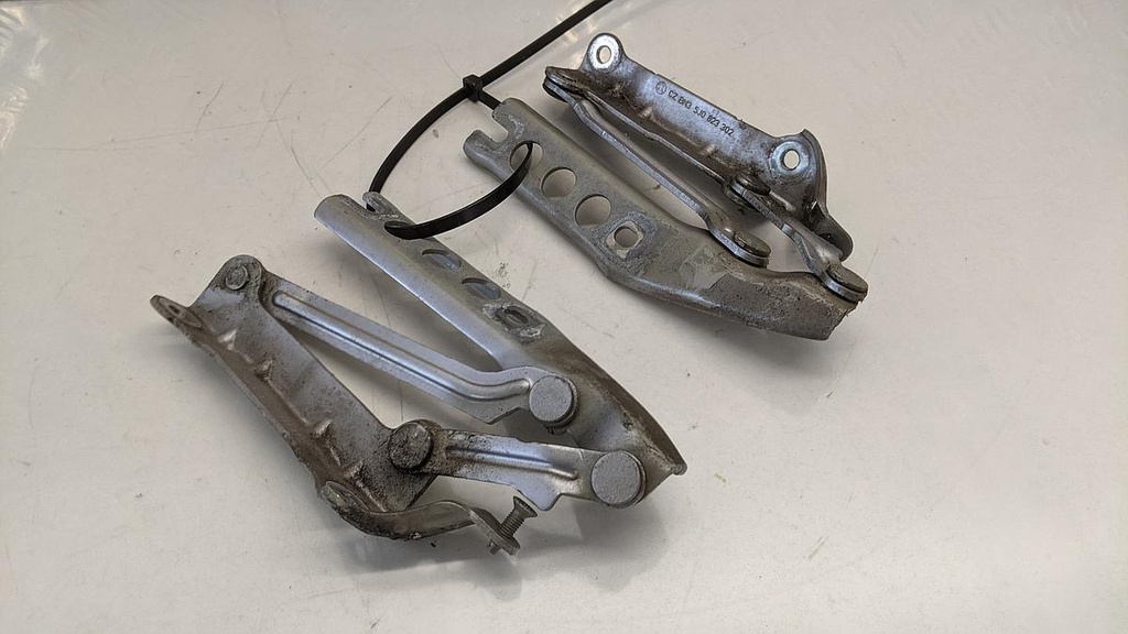 PXL_20230510_090833792.jpg