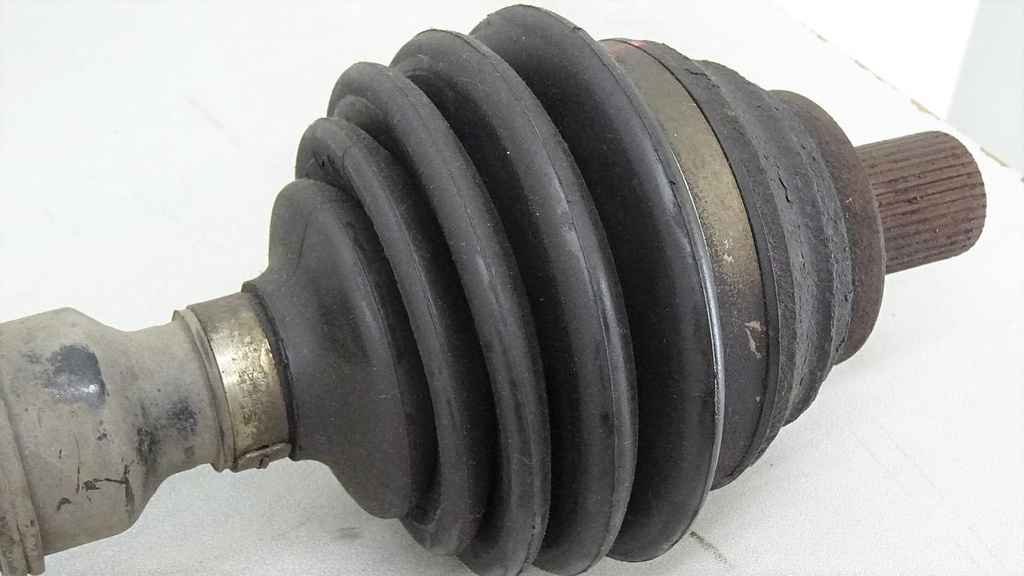 DSC03660.JPG