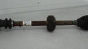 DSC03679.JPG