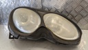 PXL_20230524_075048735.jpg