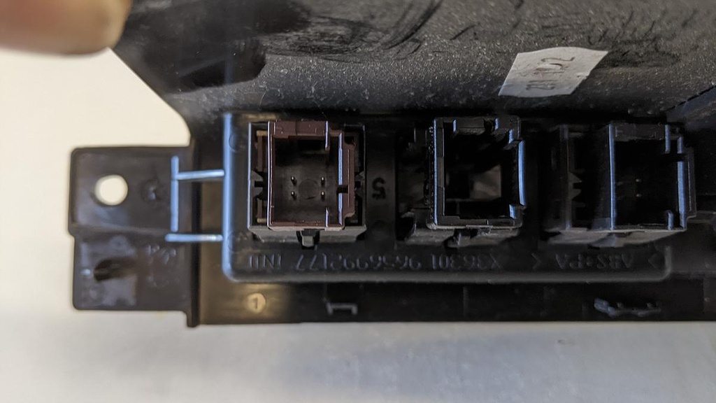 PXL_20230525_081658419.jpg