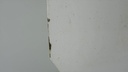 DSC05185.JPG