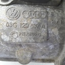 16862283187471535268192.jpg