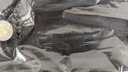 PXL_20230622_124845415.jpg