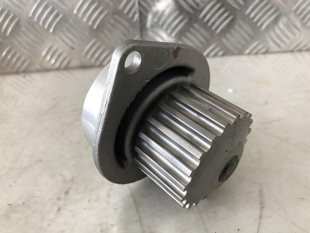 IMG_9993.JPG