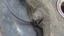 DSC07218.JPG