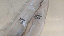 PXL_20230626_091942750.jpg