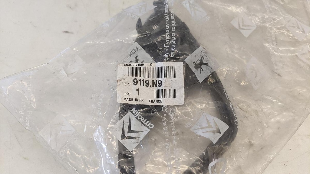 PXL_20230626_094131601.jpg