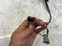 IMG_1820.jpeg