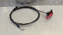 PXL_20230707_083215650.jpg