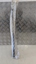 PXL_20230712_121144017.jpg