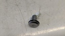 PXL_20230712_121451104.jpg