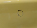 16893190556022831992213907075216.jpg