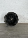 IMG_1101.JPEG