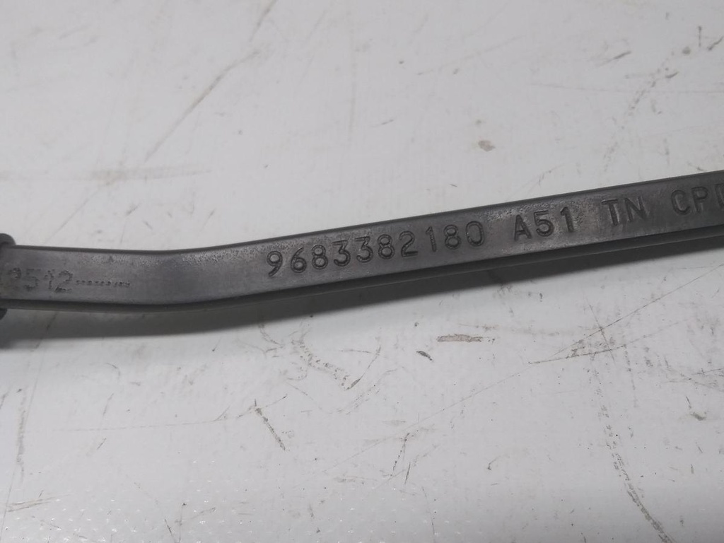 16896018227915364675435760955938.jpg