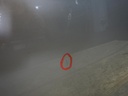 DSCN1224.JPG