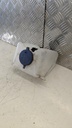 PXL_20230726_093113947.jpg