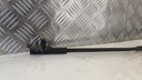 PXL_20230726_095619970.jpg