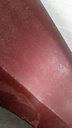 PXL_20230726_122917010.jpg