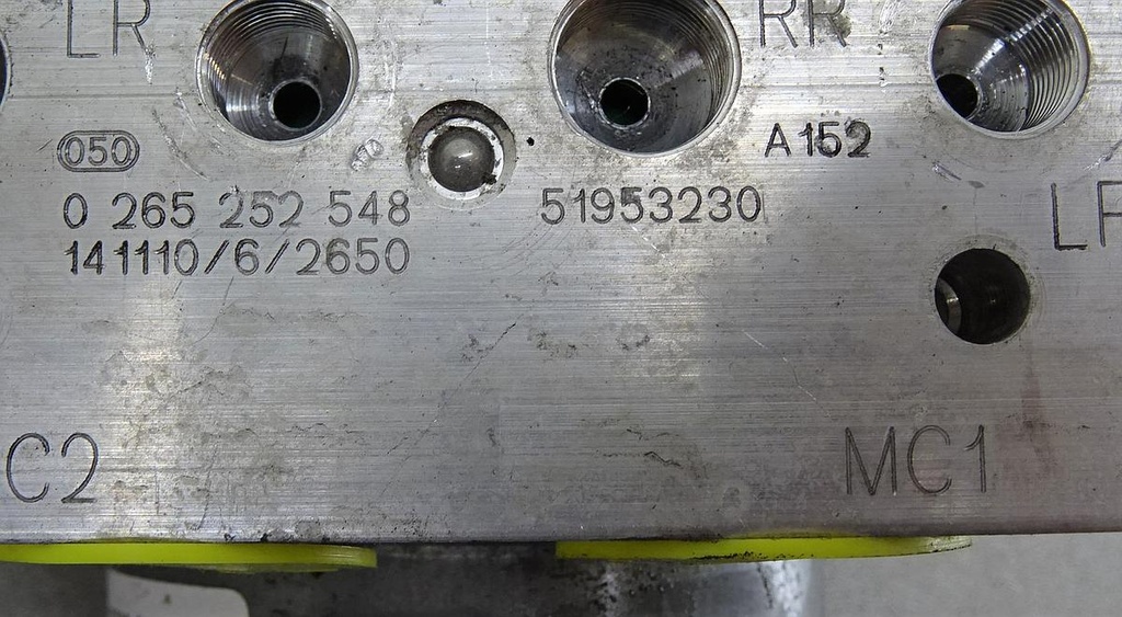 DSC00513.JPG