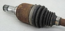 DSC00575.JPG