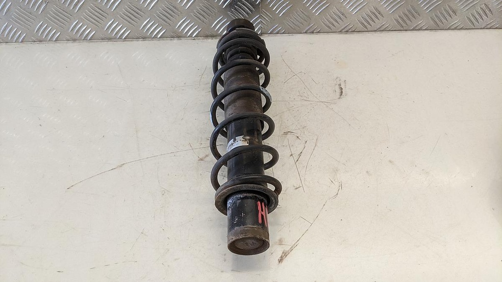 PXL_20230801_115440251.jpg