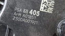 DSC01659.JPG