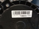 IMG_20230810_140019168.jpg