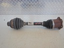 DSCN3497.JPG