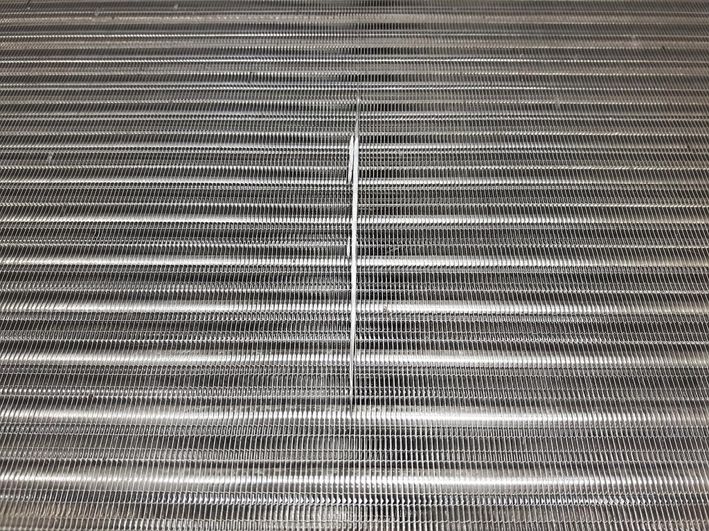20230811_135031.jpg