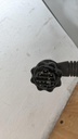 PXL_20230810_134123547.jpg