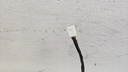 PXL_20230811_075608505.jpg