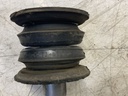 IMG_2450.jpeg