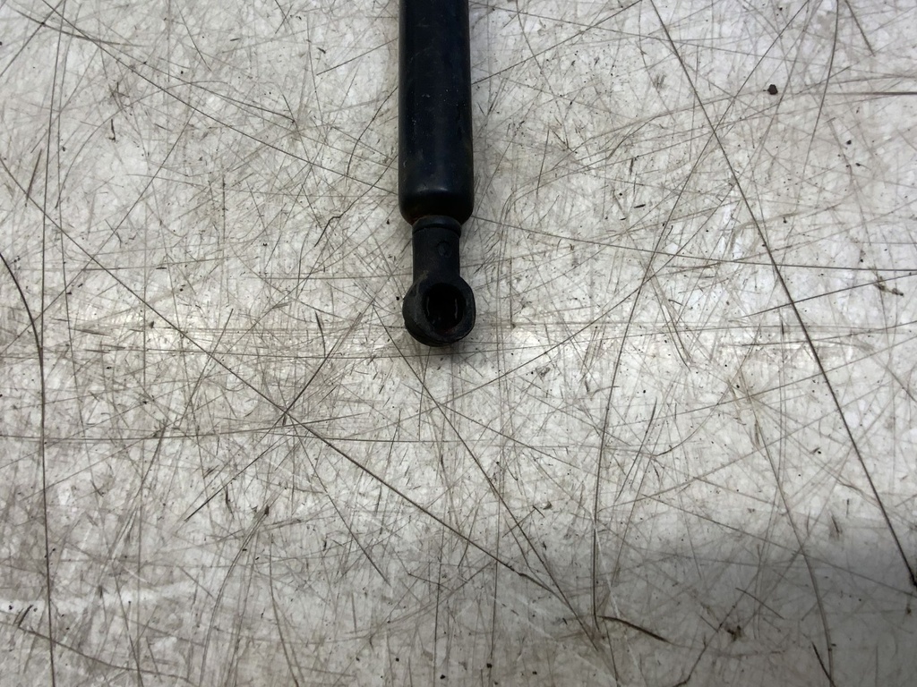 IMG_2642.jpeg