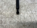IMG_2642.jpeg