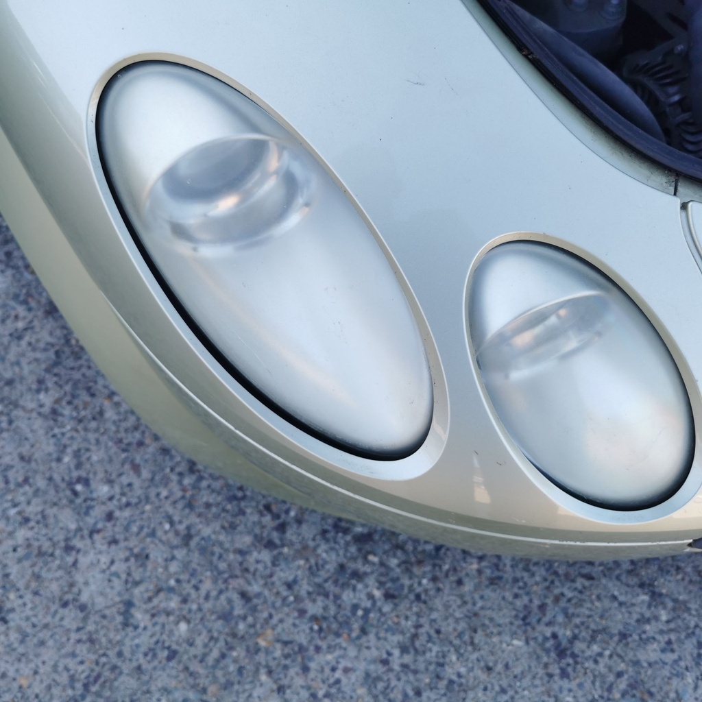 IMG_20230904_120121.jpg