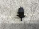 IMG_2721.jpeg