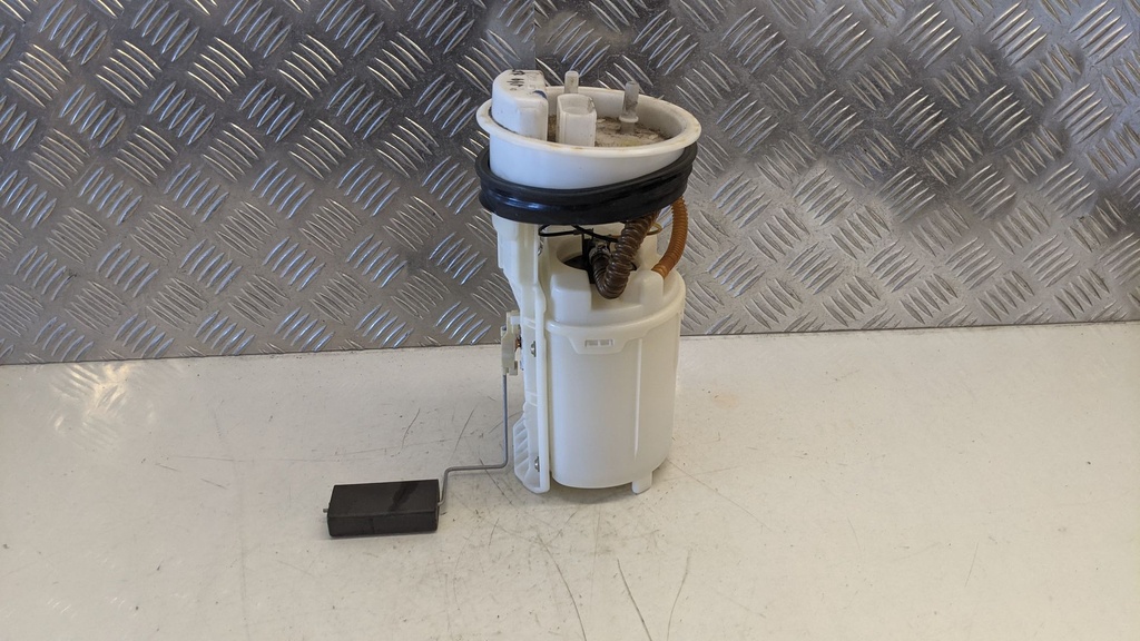 PXL_20230905_081425994.jpg