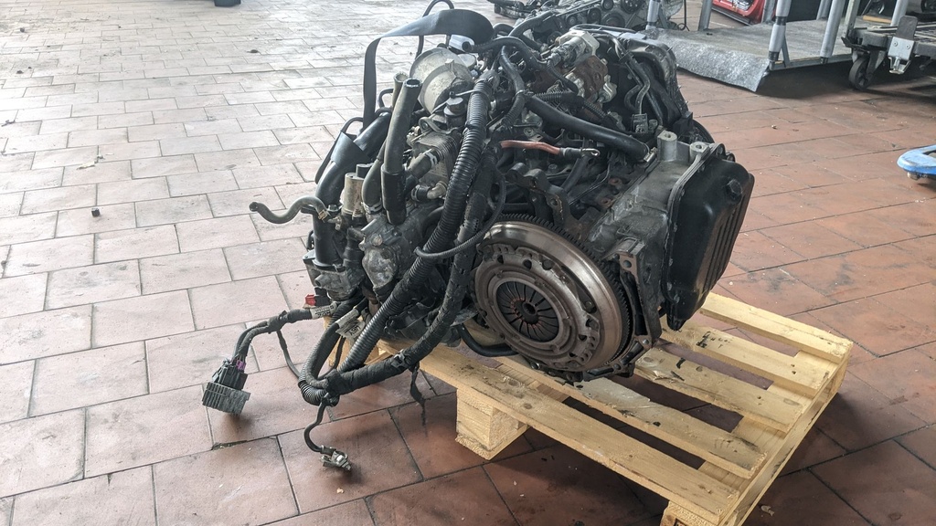 PXL_20230913_140331016.jpg