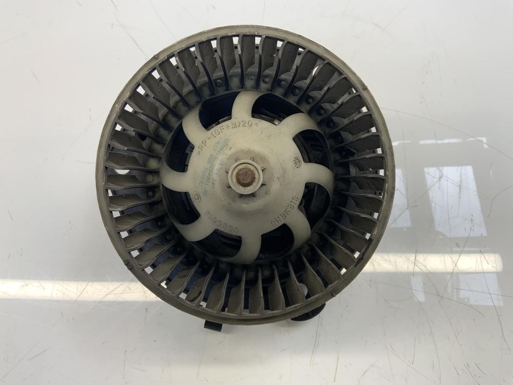 IMG_3665.jpeg
