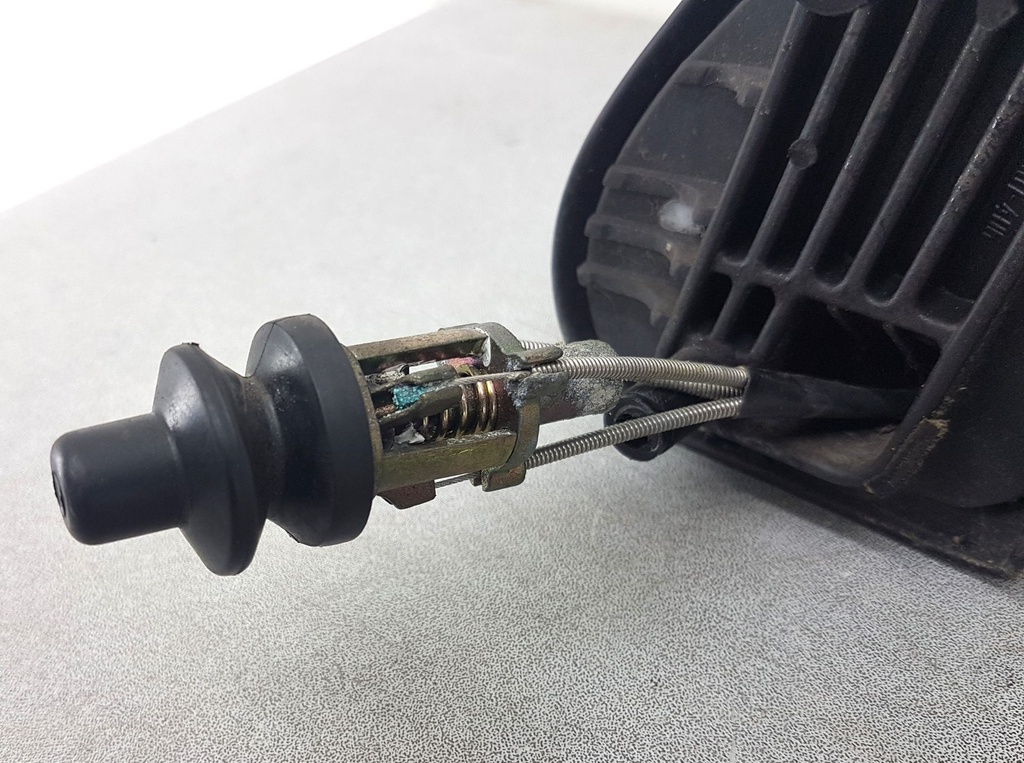 20230927_114718.jpg