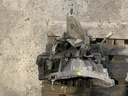 IMG_4136.jpeg