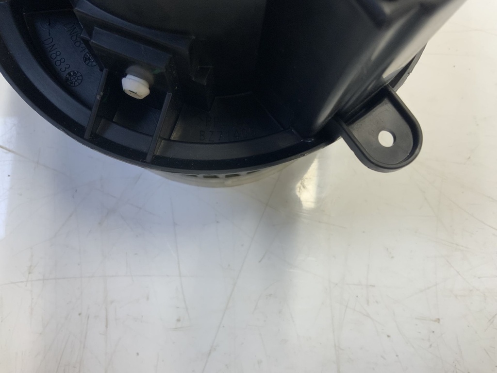 IMG_4293.jpeg